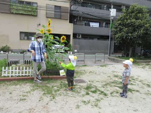 イベント画像